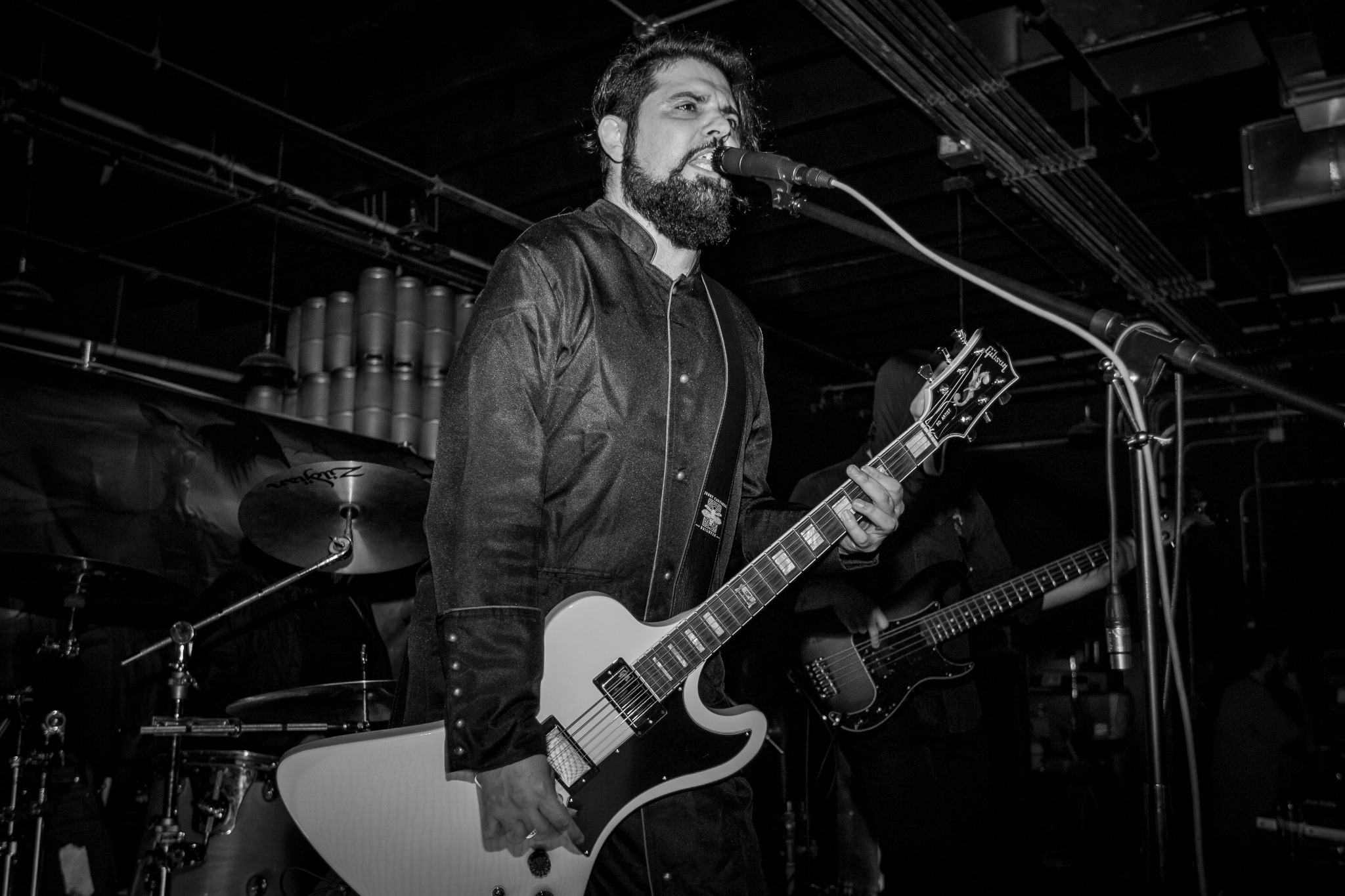 Scattered Light live photo 3