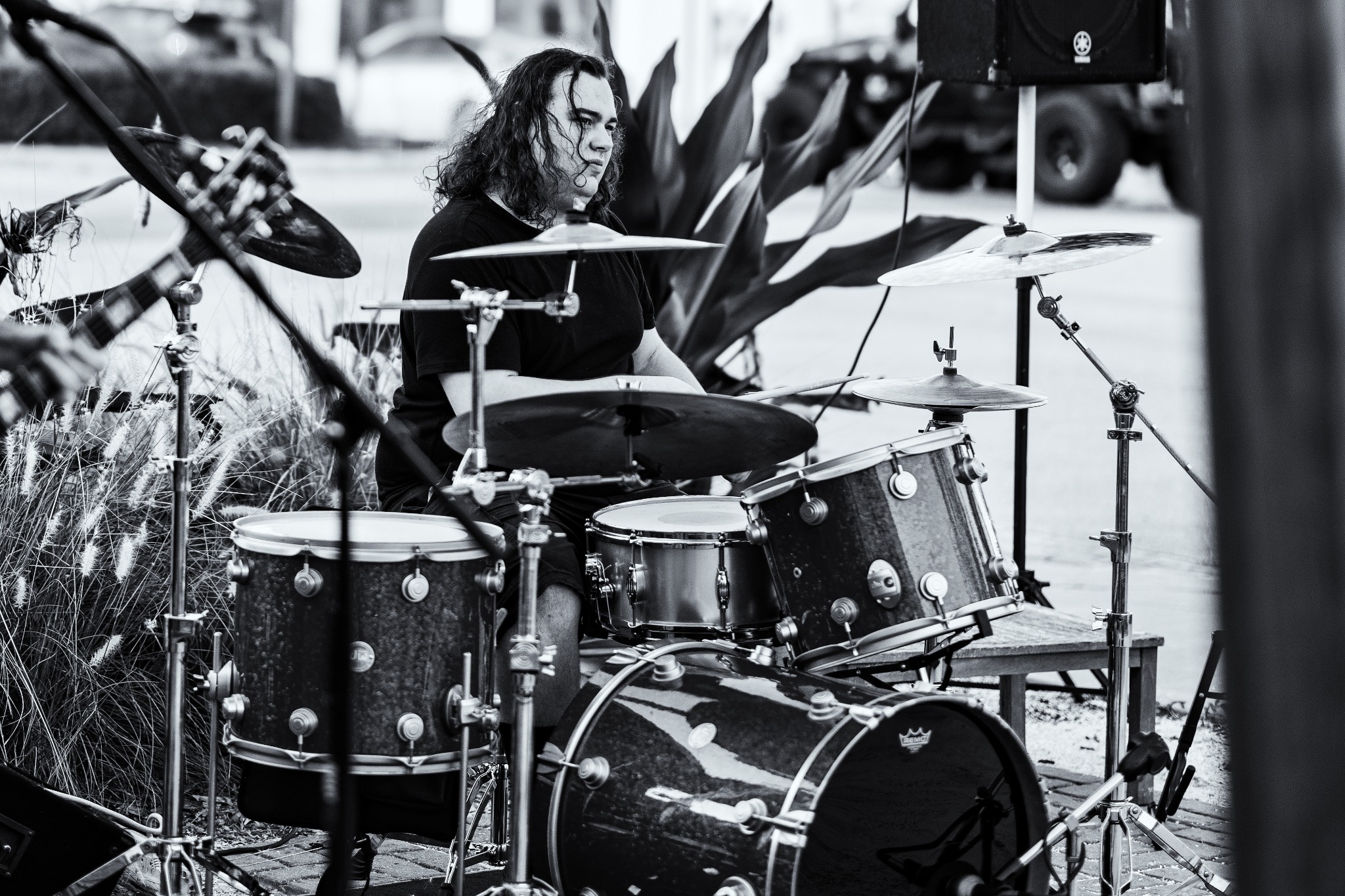 Scattered Light live photo 4
