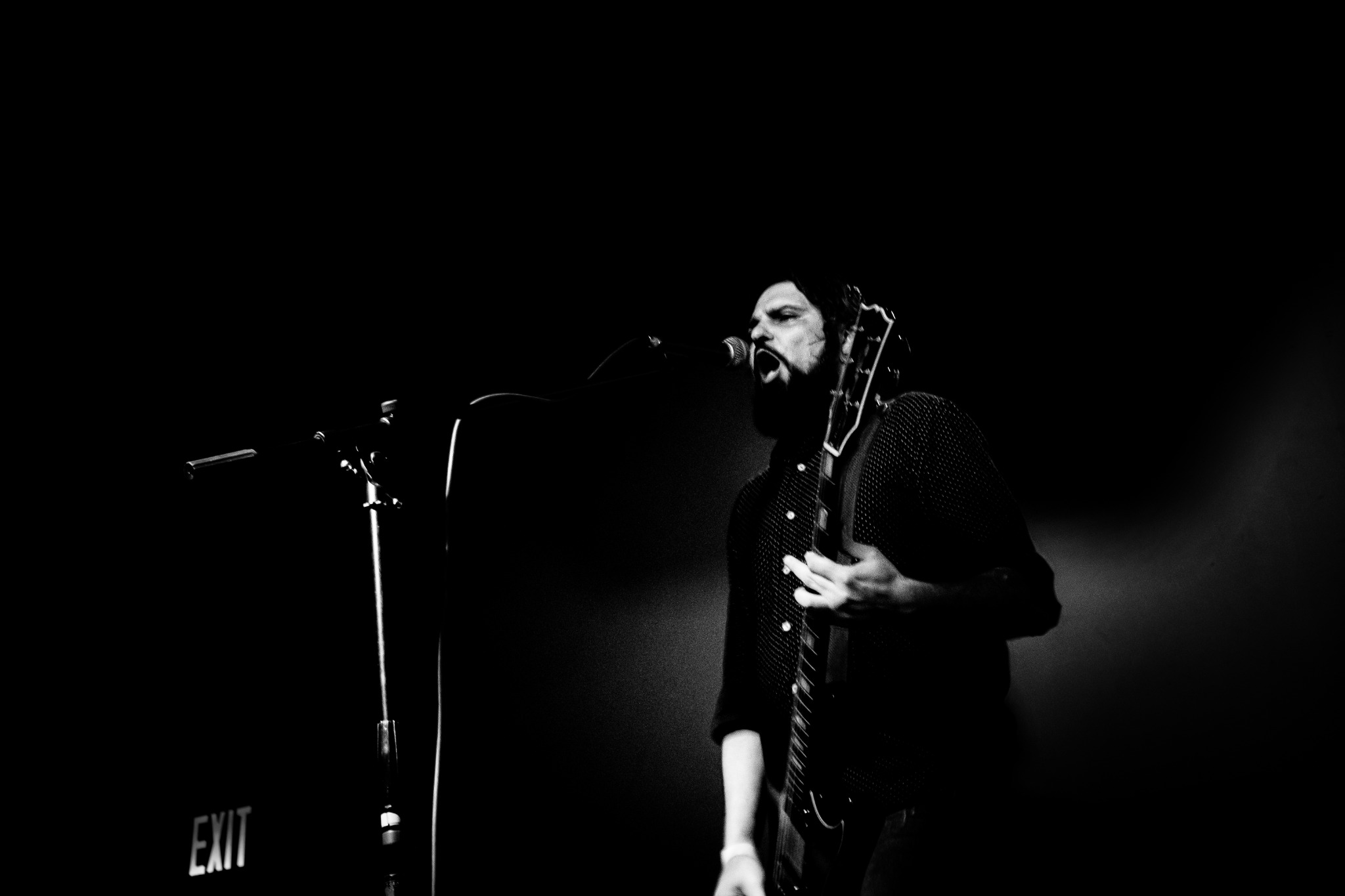 Scattered Light live photo 5