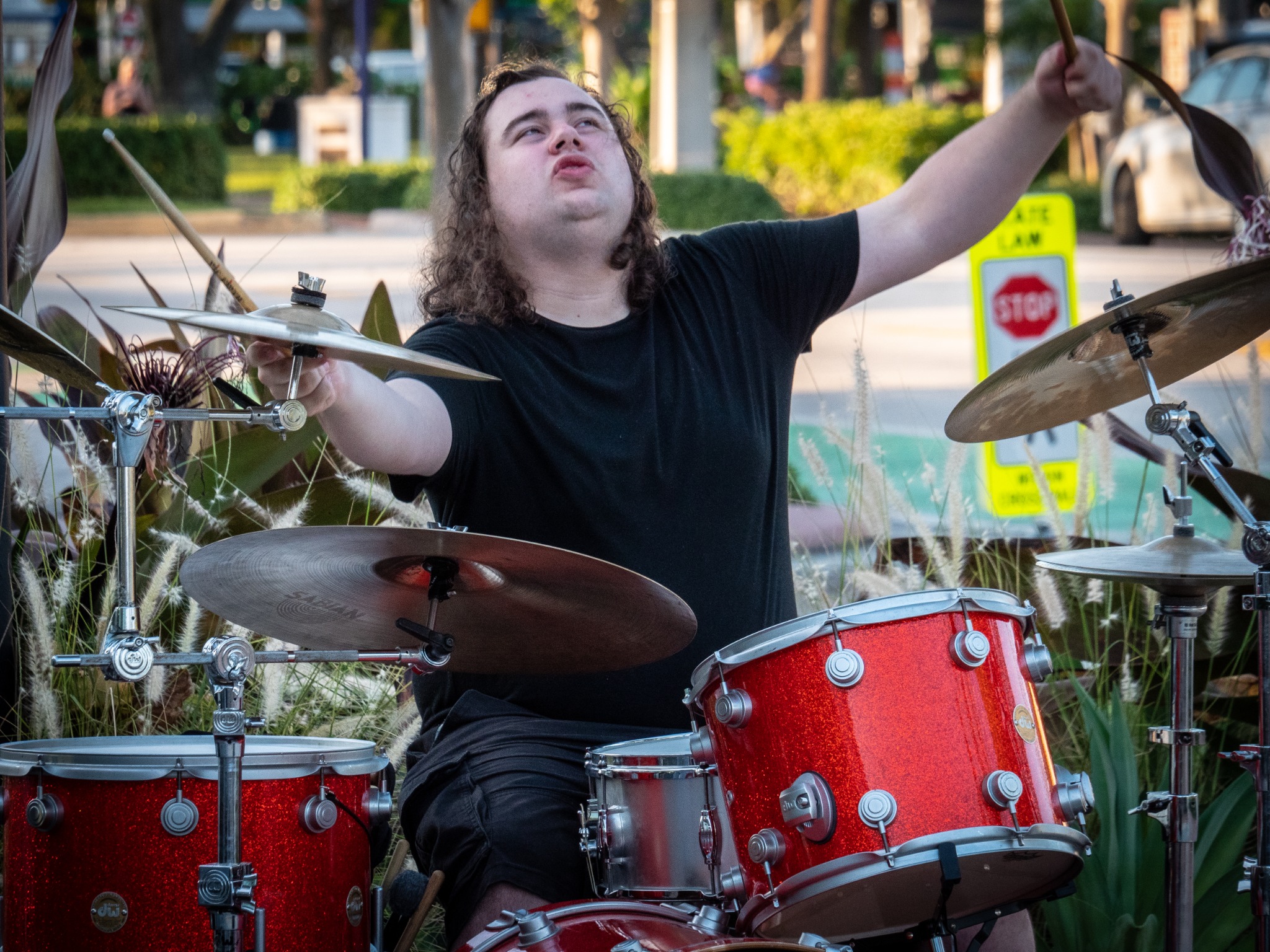 Scattered Light live photo 9