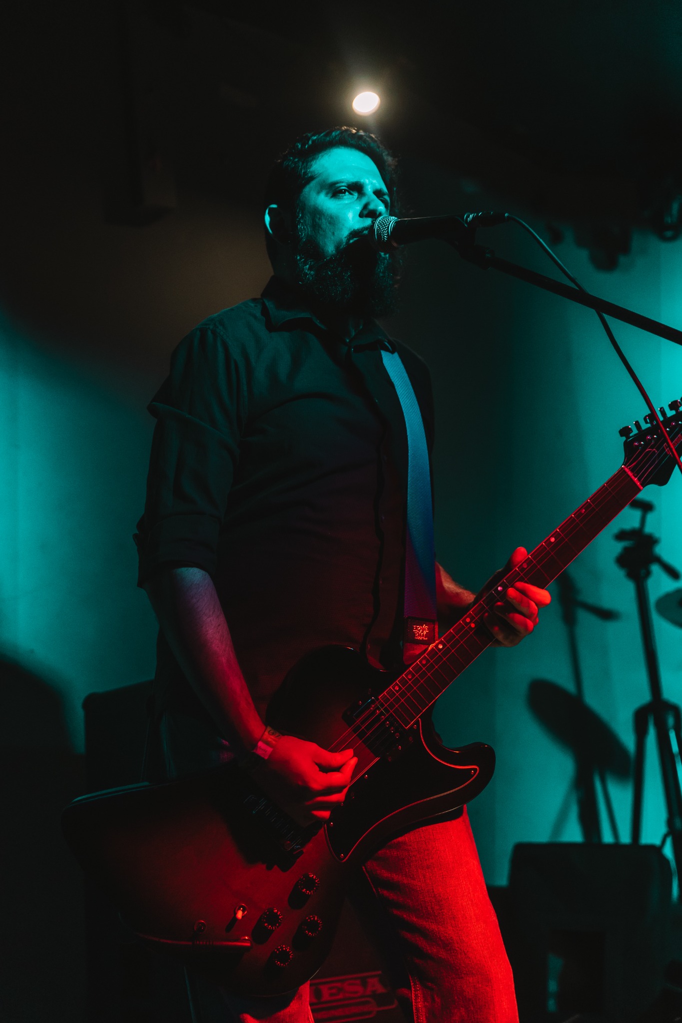 Scattered Light live photo 10