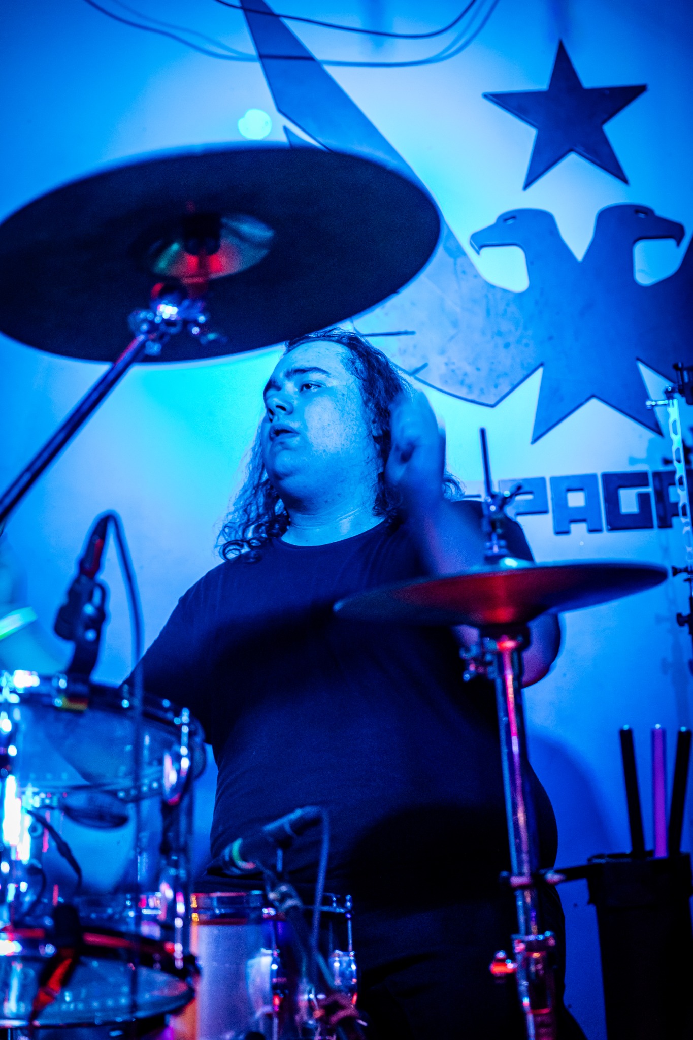 Scattered Light live photo 11